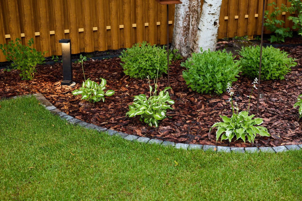 Cura stagionale del giardino con piante fiorite