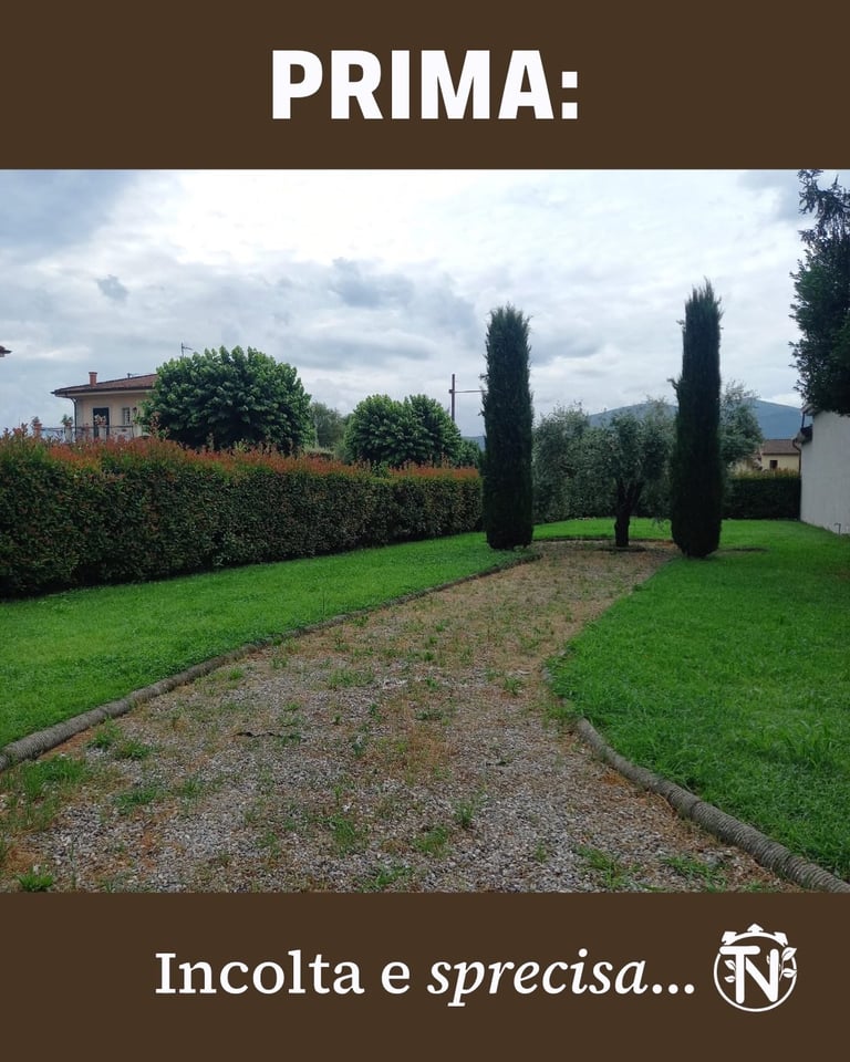Italian garden pathway with gravel walkway, cypress trees, manicured lawn, and buildings in background under cloudy sky