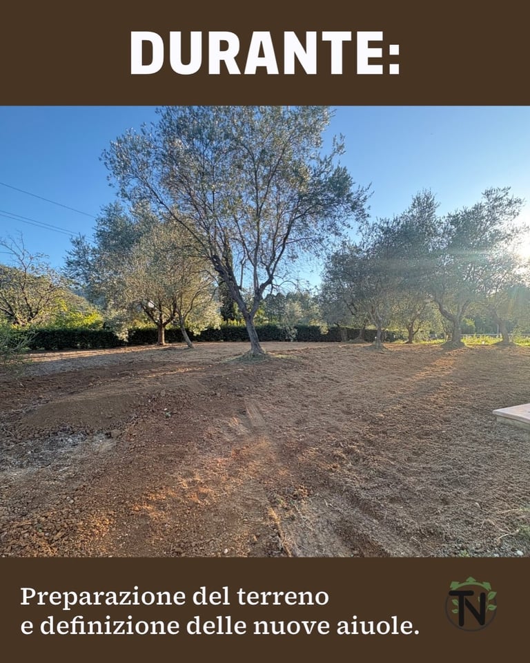 Land preparation with mature trees during planting season, labeled DURANTE in Italian