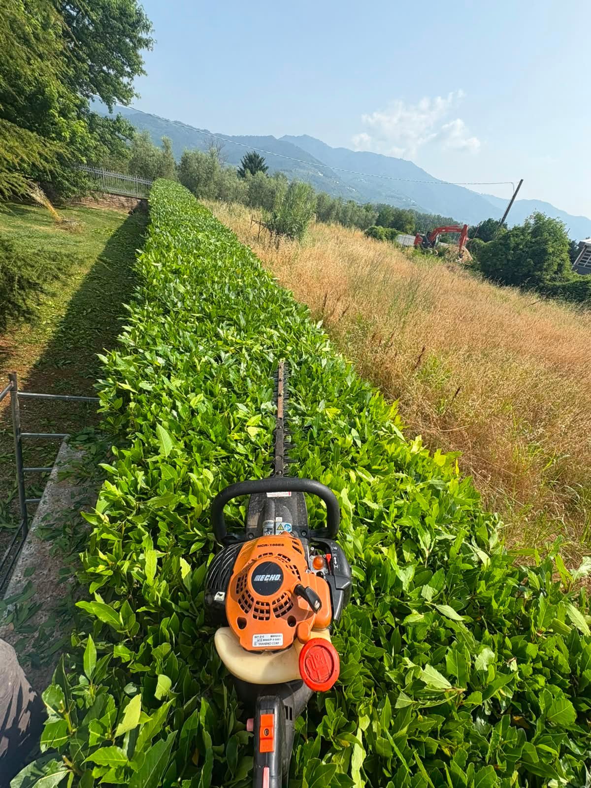 Orange and black chainsaw on green crop rows in Alpine meadow with mountains and farmland in background