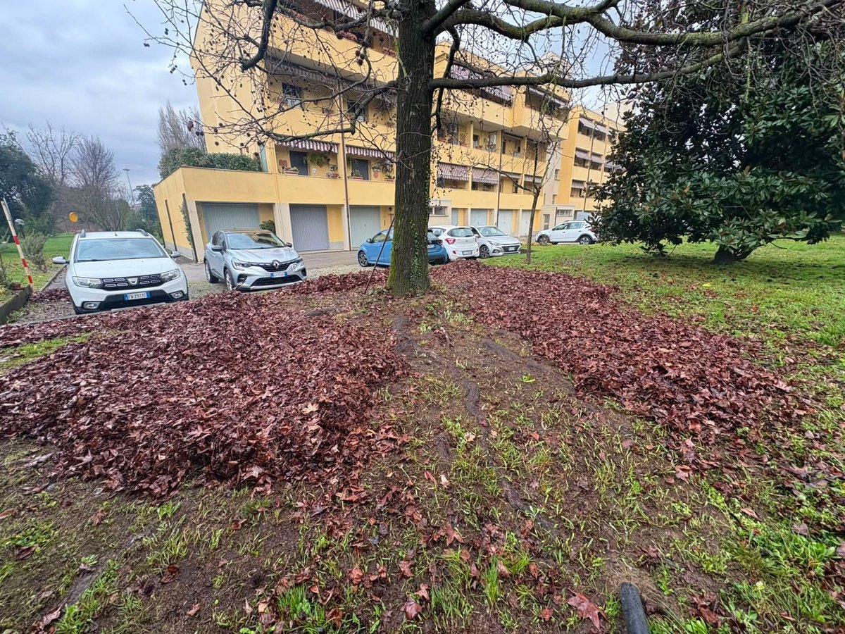 Apartment building with yellow facade and parked cars in front, surrounded by mulch-covered ground and grass area with bare tree