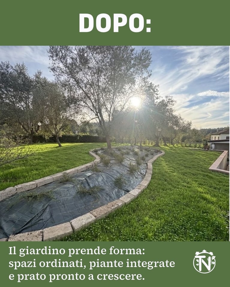 Newly landscaped garden with organized spaces, mature tree, lawn, and stone pathway under sunny sky